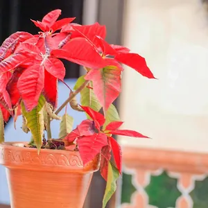 https://hostal-rural-la-esperanza.es-andalucia.com